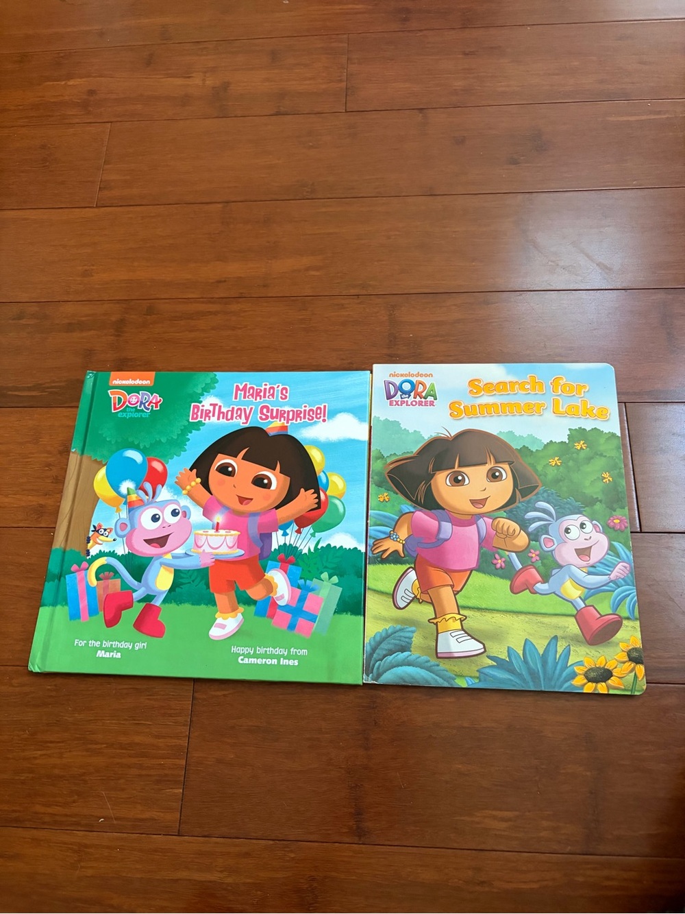 Dora the explorer books